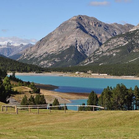 발디덴트로 Chalet Bormio Stelvio 빌라 외부 사진