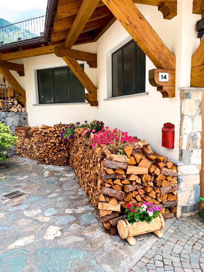 발디덴트로 Chalet Bormio Stelvio 빌라 외부 사진