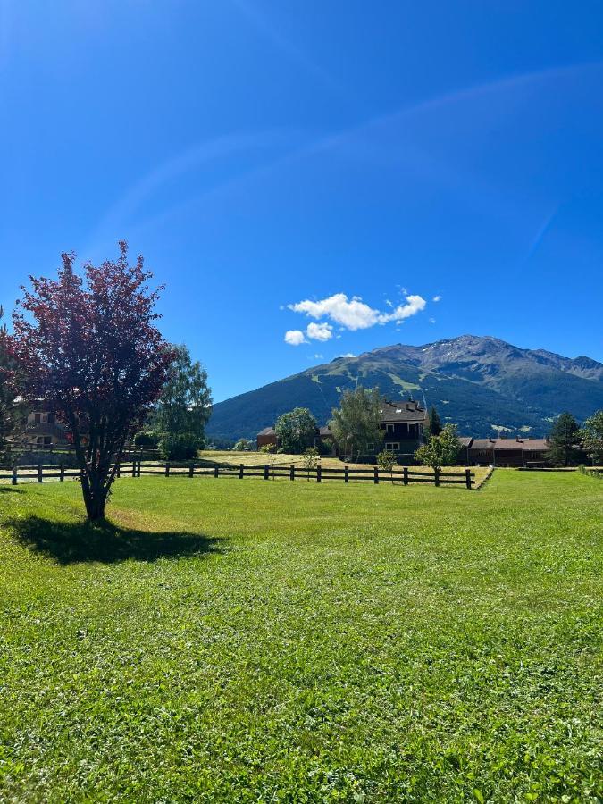 발디덴트로 Chalet Bormio Stelvio 빌라 외부 사진