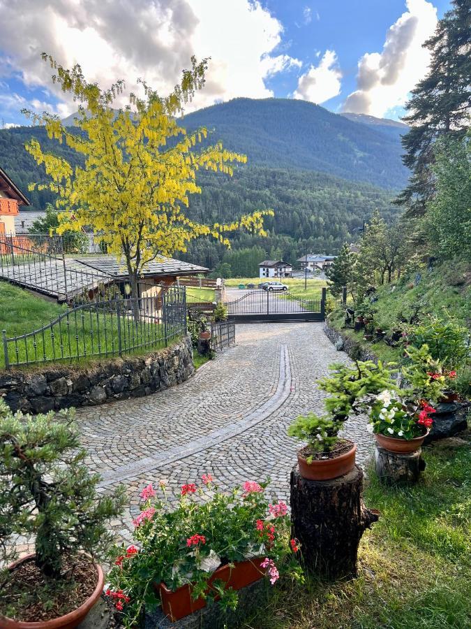 발디덴트로 Chalet Bormio Stelvio 빌라 외부 사진